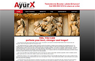 Click for the portfolio on AyurX