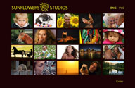 Click for the portfolio on Sunflowers Studios
